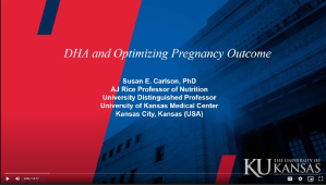 DHA and Optimizing Pregnancy Outcomes
