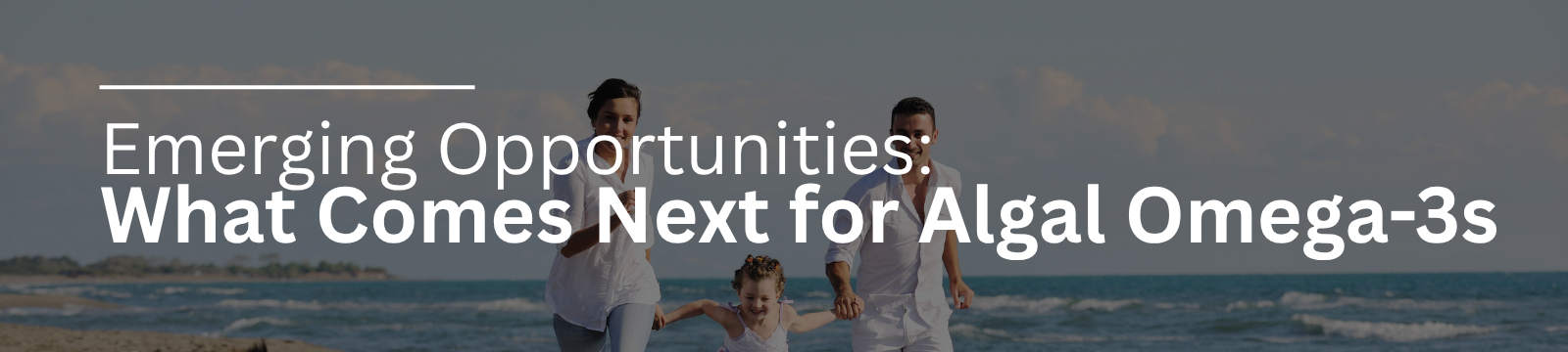 Emerging opportunities: what comes next for algal omega-3s