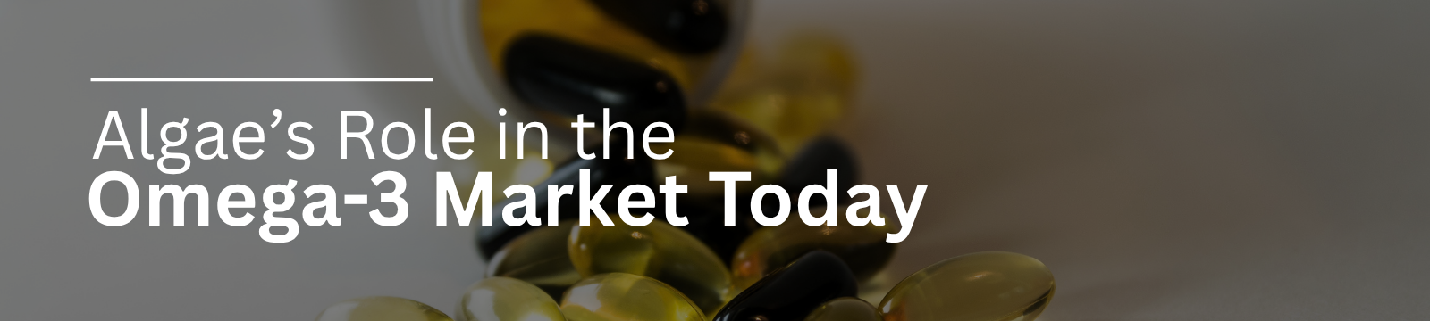 Algae's Role in the Omega-3 Market Today